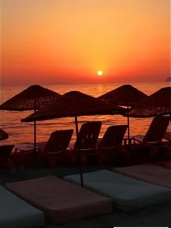 Sun And Sea ホテル 3*