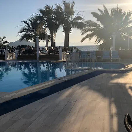 Sun And Sea トゥルグトレイス