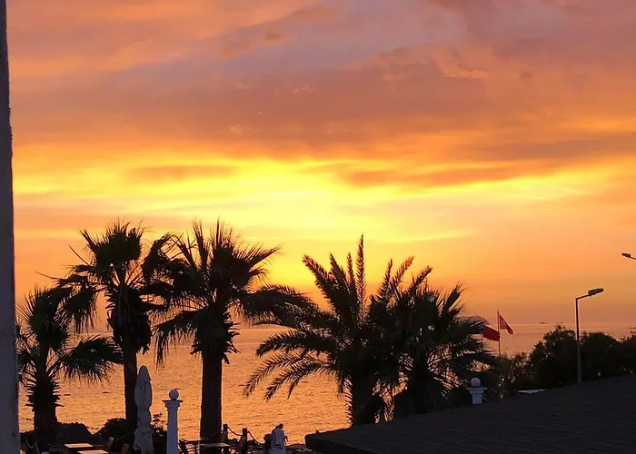 מלון Sun And Sea