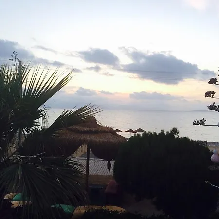 Sun And Sea 호텔 3*